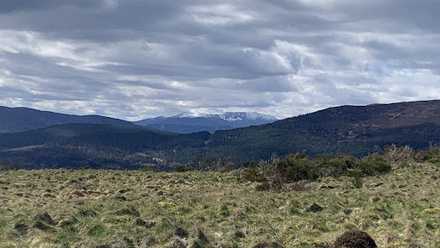 Tarland Trails - Drummy Woods