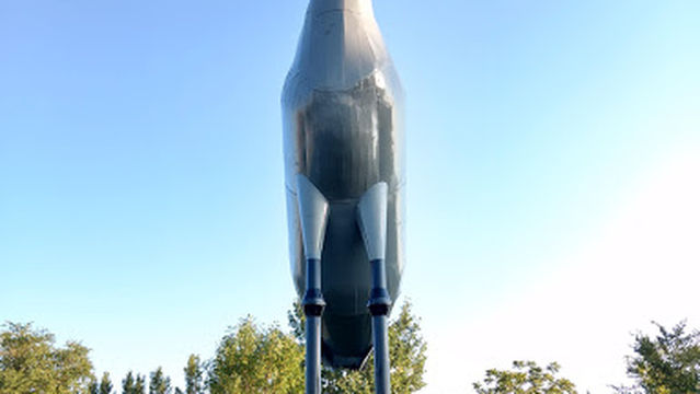 Sandy - The World's Largest Sandhill Crane