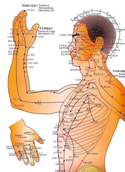 TCM Therapy by Cheng