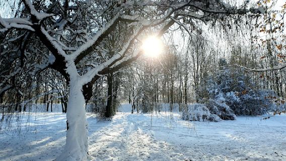 Park im. Poległych Bohaterów w Zabrzu