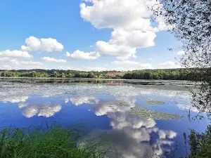 Wiesensee