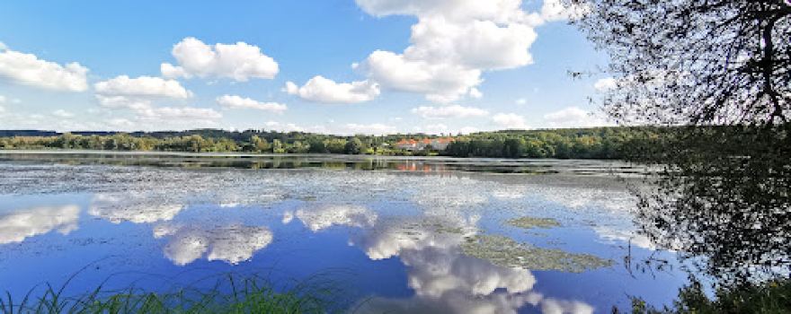 Wiesensee