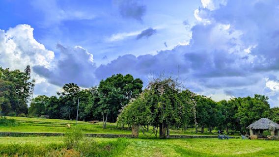 Ballantyne Park Conservancy