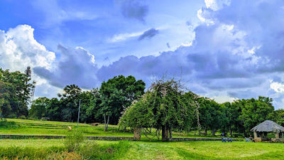 Ballantyne Park Conservancy