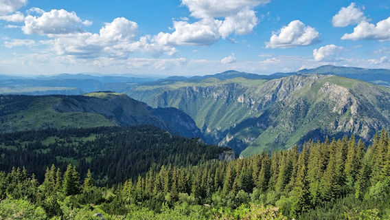 Nedajno