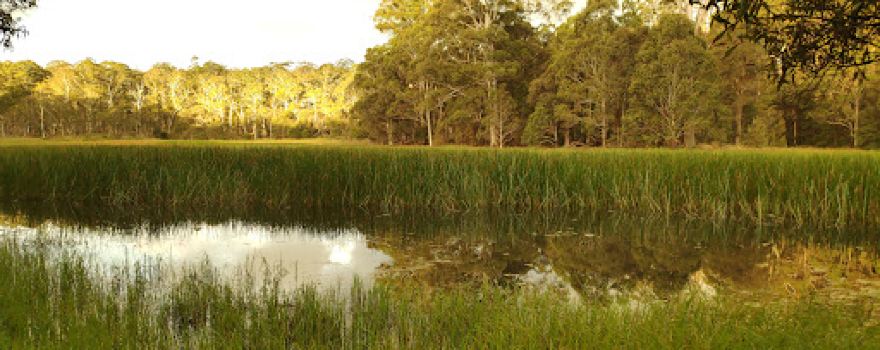 Mummel Gulf National Park