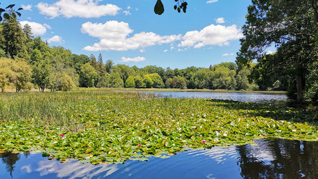 Lake Te Koo Utu Reserve