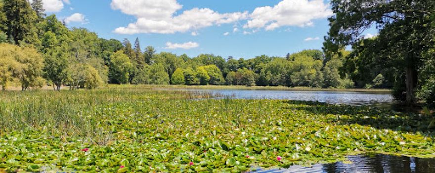 Lake Te Koo Utu Reserve