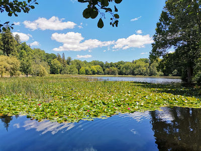 Lake Te Koo Utu Reserve