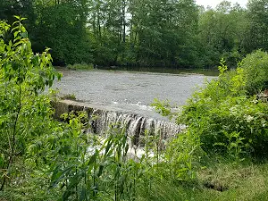 Ebensburg Borough Swimming