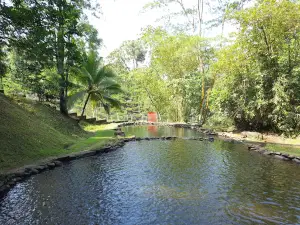Neluwa Doovili Ella