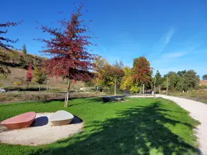 Parque Urbano da Ribeira do Juncal