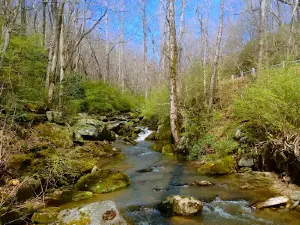 Creekside Mountain Camping