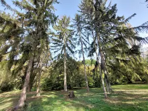 Tiszalöki Arborétum