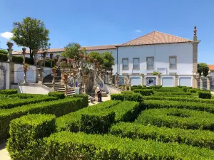Castelo Branco Castle