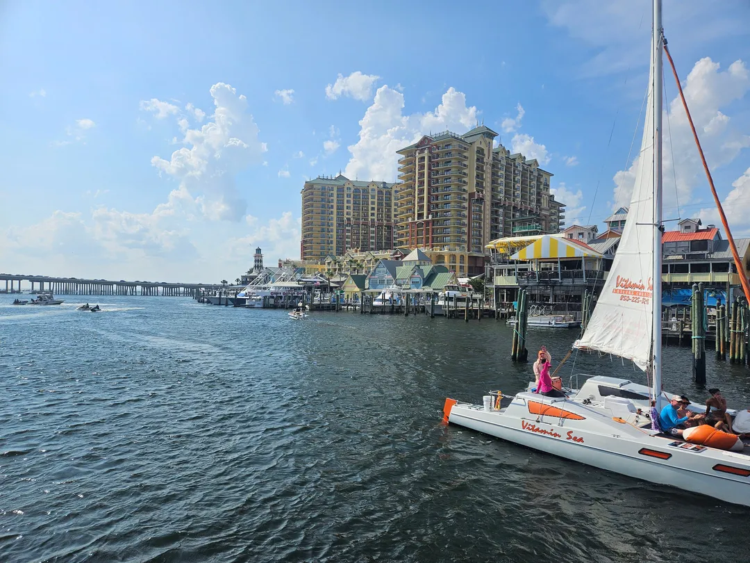 2_Southern Star Dolphin Cruise