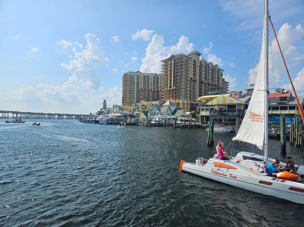 Southern Star Dolphin Cruise