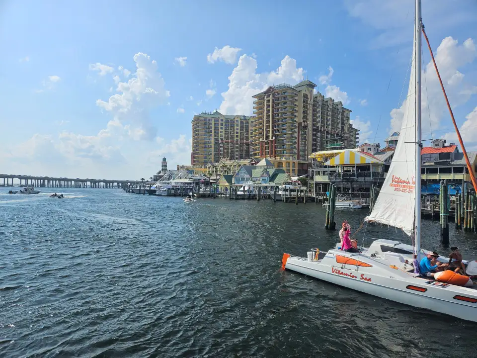 2_Southern Star Dolphin Cruise