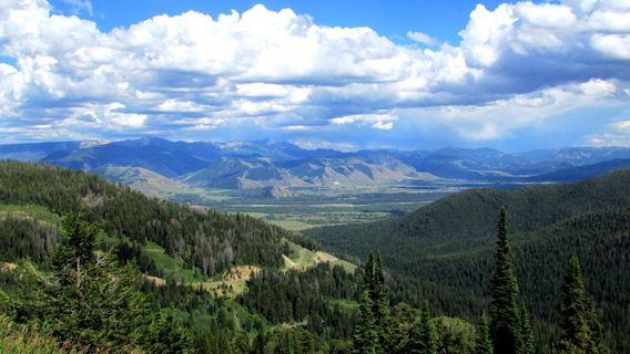 Caribou-Targhee National Forest