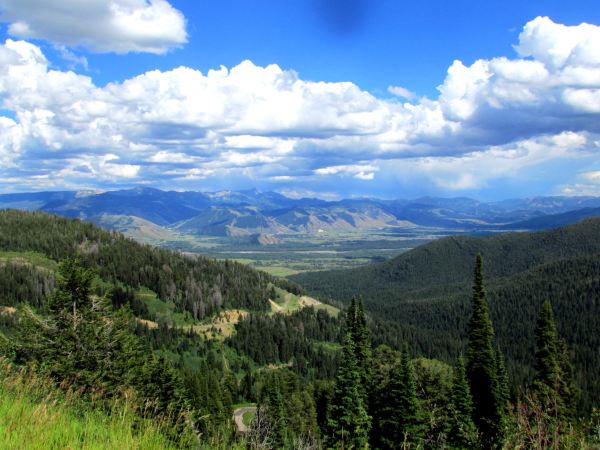 Caribou-Targhee National Forest