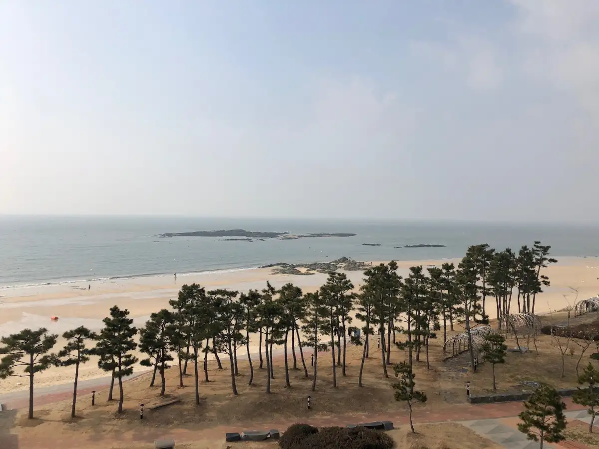 대천해수욕장
