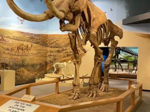 Museum of Texas Tech University