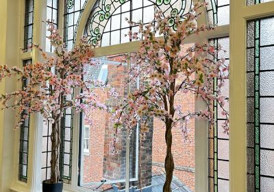 Shrewsbury Museum & Art Gallery
