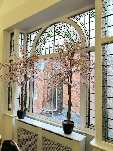 Shrewsbury Museum & Art Gallery
