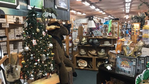 Call of the Wild Museum