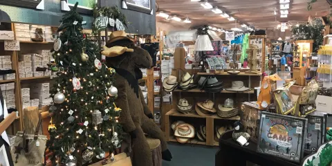 Call of the Wild Museum