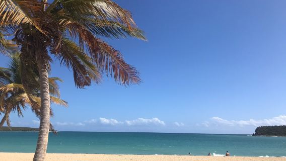 Sun Bay Beach