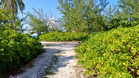 Grand Cayman