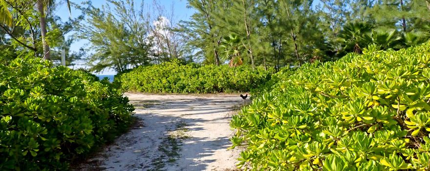 Starfish Point