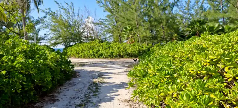 Hoteles en Rum Point