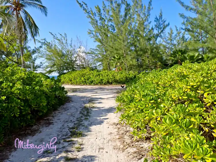 Các khách sạn ở Rum Point