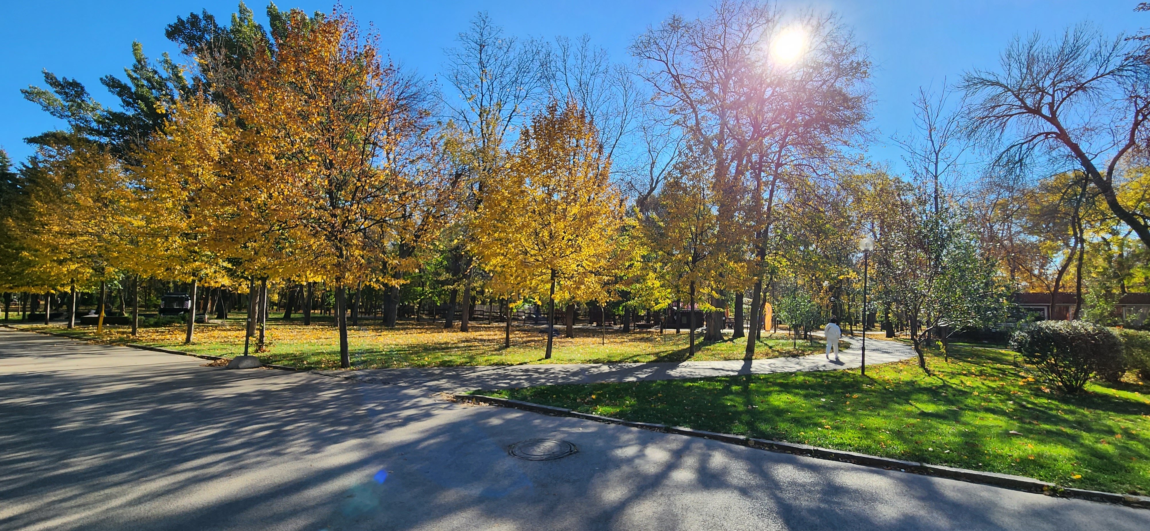 Rostov-na-Donu garbiy fohishalar