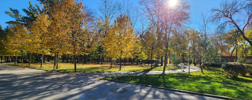 Park of Revolution (Park Oktyabrskoii Revolutsii)