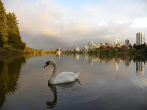 Hotels near Stanley Park Nature House on Lost Lagoon