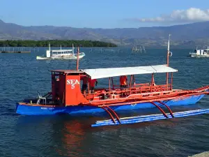 Manjuyod White Sandbar