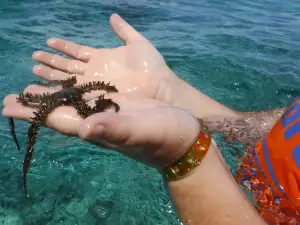Coral Beach UNDERWATERCUBA