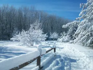 Tinker Nature Park / Hansen Nature Center