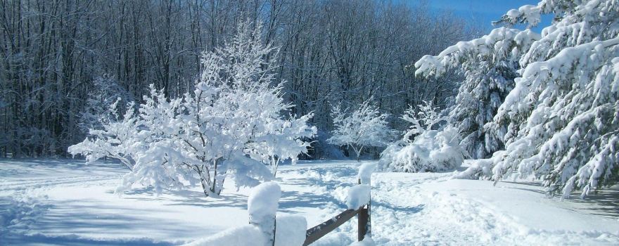 Tinker Nature Park / Hansen Nature Center