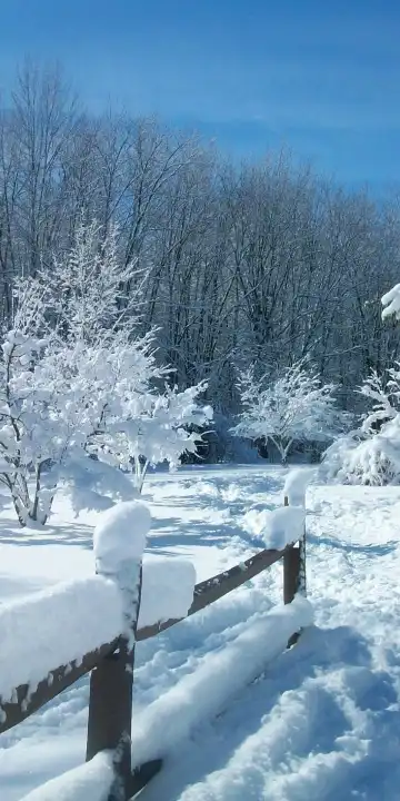 ヘンリエッタのホテル