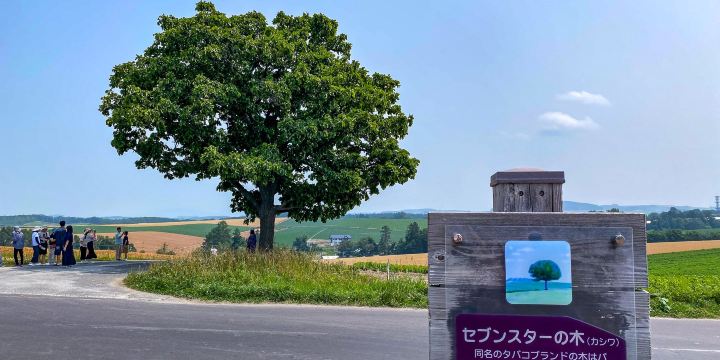 Seven Stars Tree