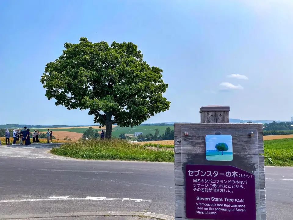 1_Seven Stars Tree