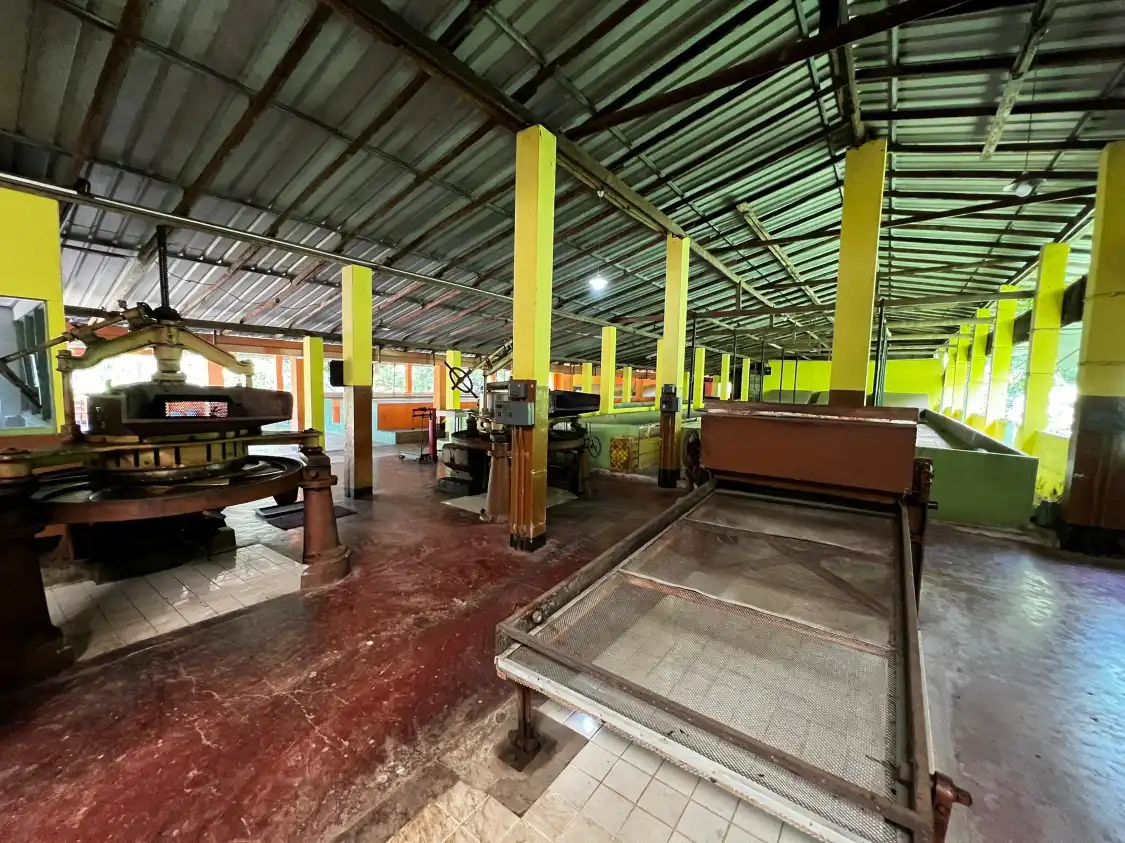 Hotels near Handunugoda Tea Estate