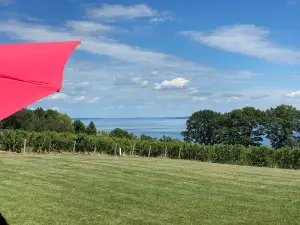 Thirsty Owl Wine Company