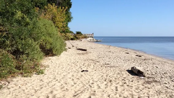 베이프론트 공원