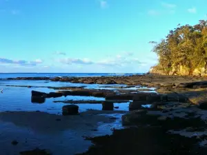 Gondwana Coast Fossil Walk