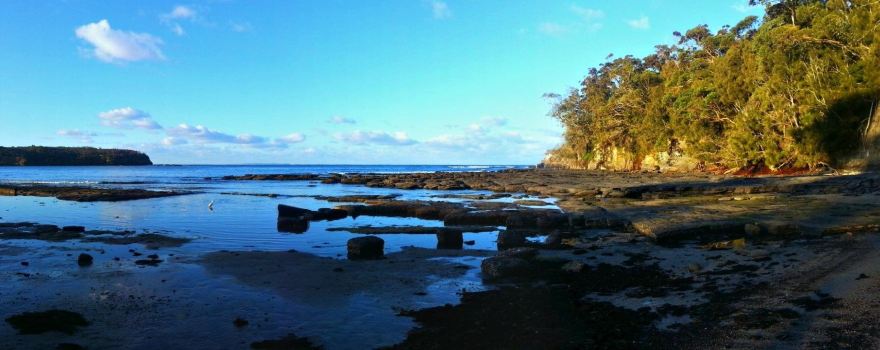Gondwana Coast Fossil Walk